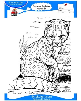 Çocuklar İçin Çita Boyama Sayfaları 